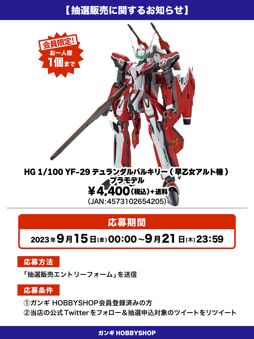 会員限定】「HG 1/100 YF-29 デュランダルバルキリー（早乙女アルト機